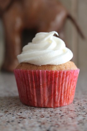 Hummingbird Cupcake